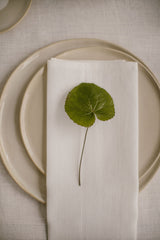 Linen Napkins Set Of 6